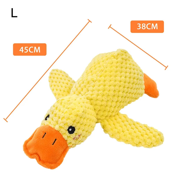 QuackNPlay Duck Toy
